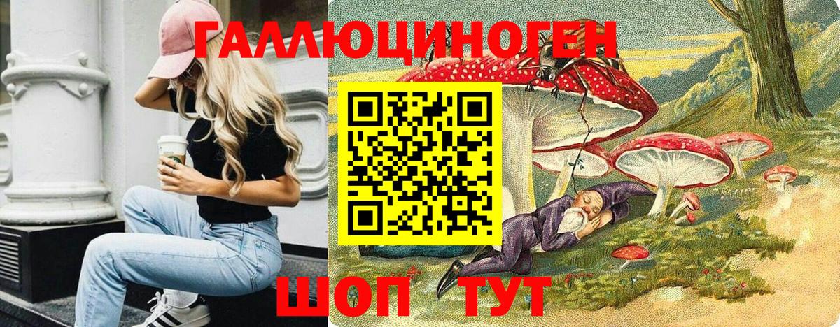 купить наркотики цена  Псилоцибиновые грибы GOLDEN TEACHER  Вход с VPN  Фурманов 